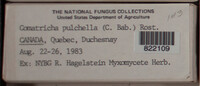 Image Associated With the Occurence